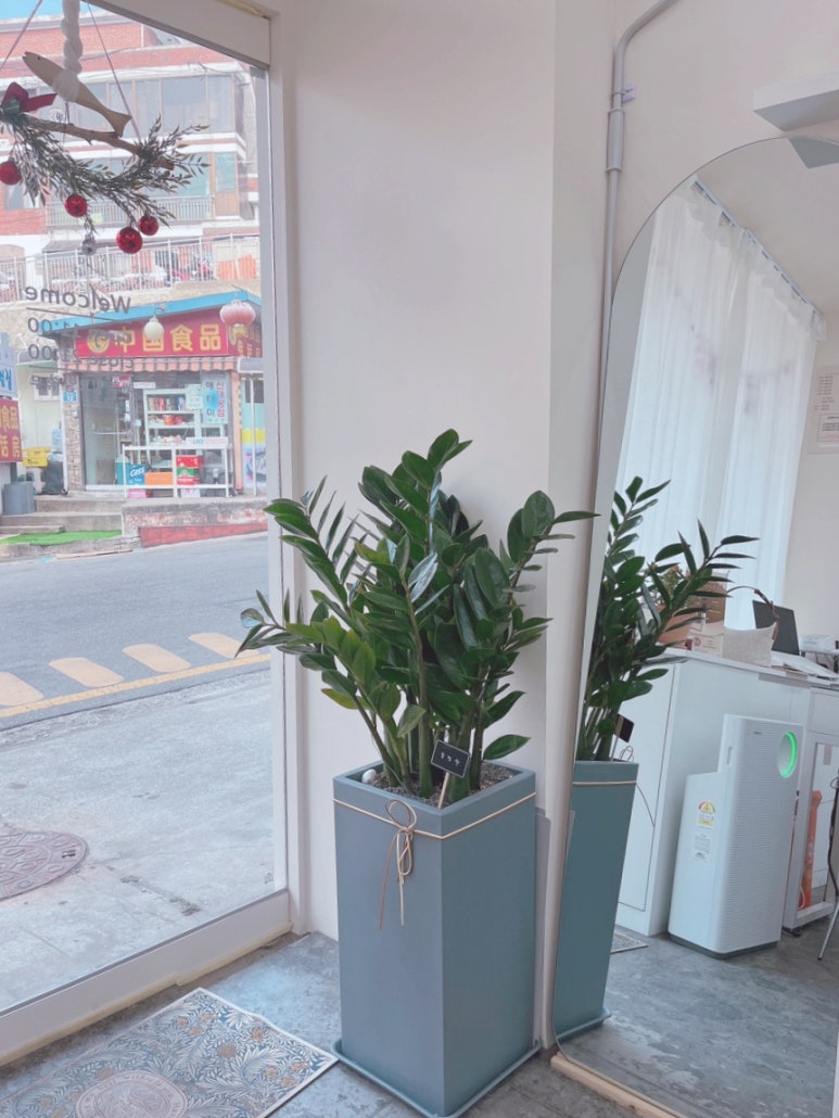 해삐네일 이미지