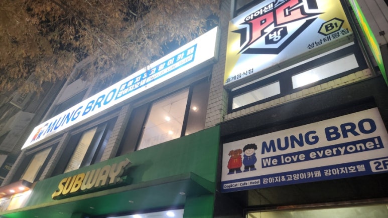 멍브로 이미지