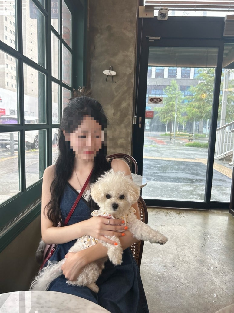 이브도어 이미지