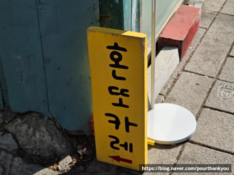 혼또카레 이미지