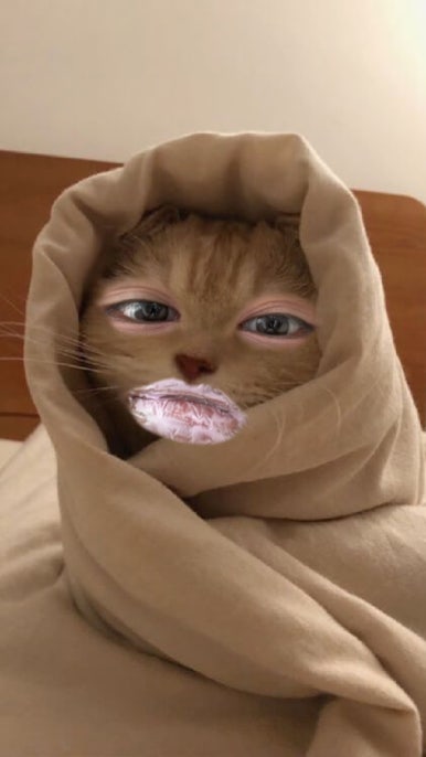 가꿈뷰티 이미지