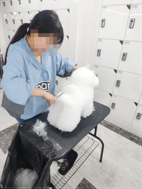평택애견미용학원 이미지