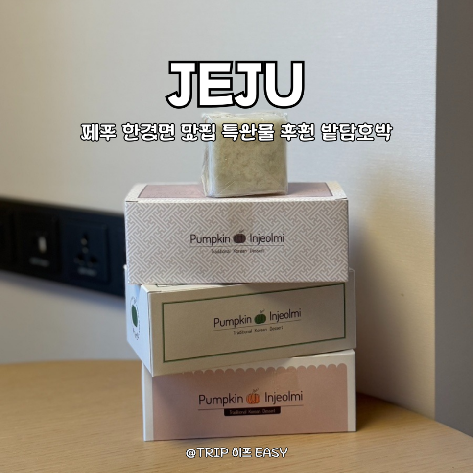 밭담호박 이미지