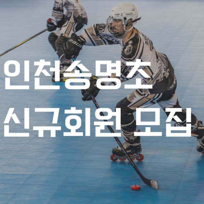 플레임스인라인하키클럽 이미지