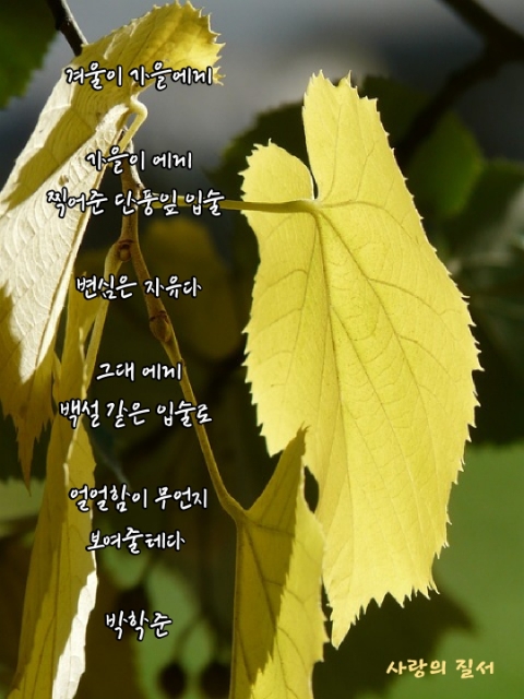 박학준 이미지