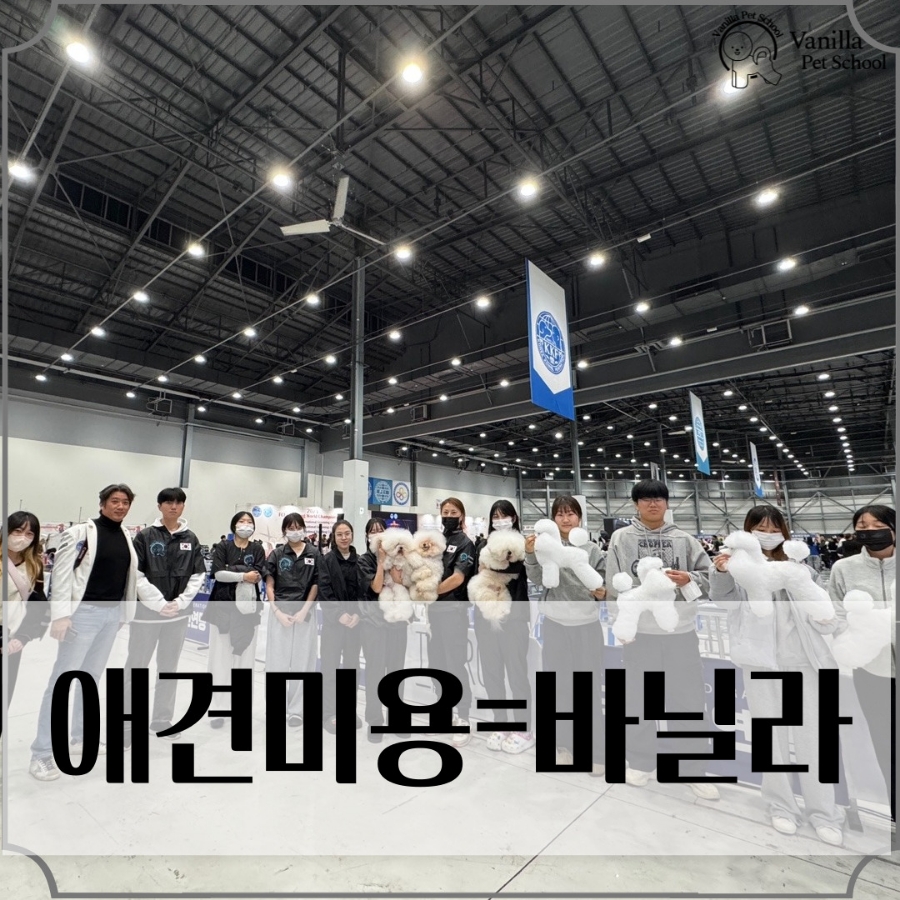 바닐라애견미용학원 이미지