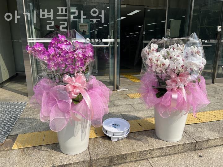 아기별플라워 이미지