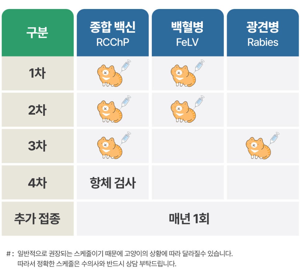 애니컴 이미지
