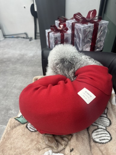 60계충남당진점 이미지
