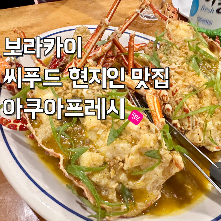 땡큐피시 이미지