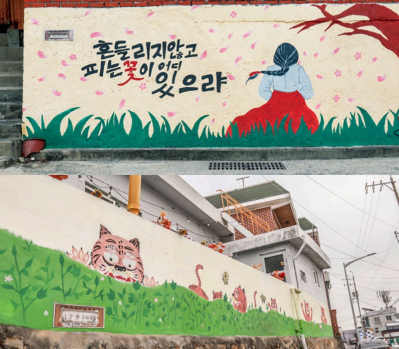 쌈마을 이미지