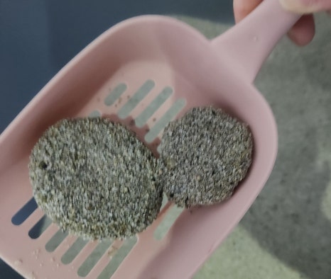 더 사하라 이미지
