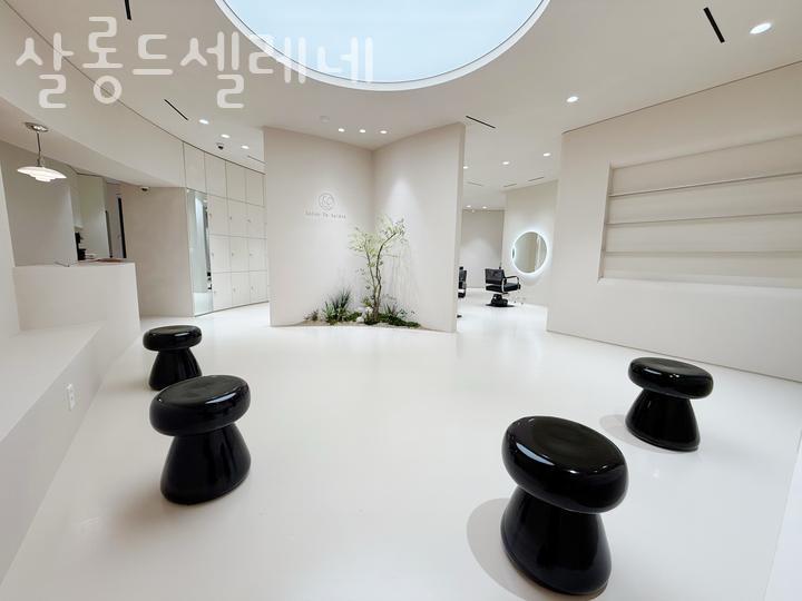 셀레네 이미지