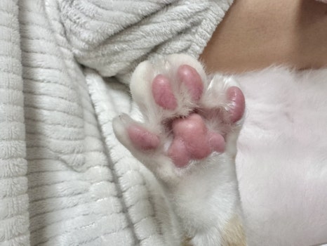 서울하내과의원 이미지