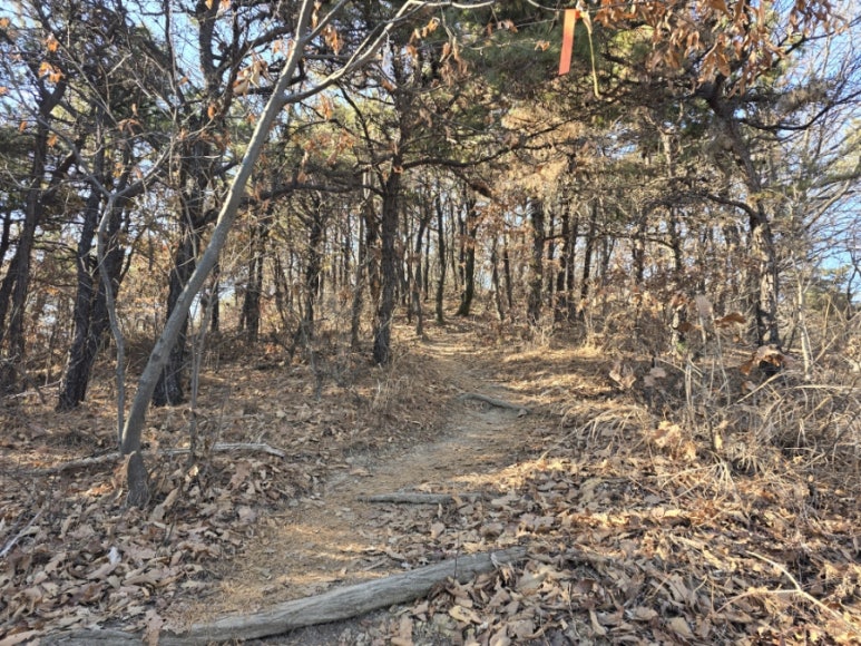 서해랑길 96코스 이미지