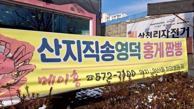 메이홍 이미지