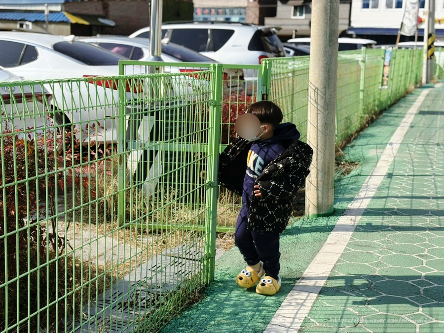 화니바비스타 이미지