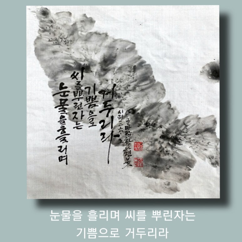 마담캘리 이미지