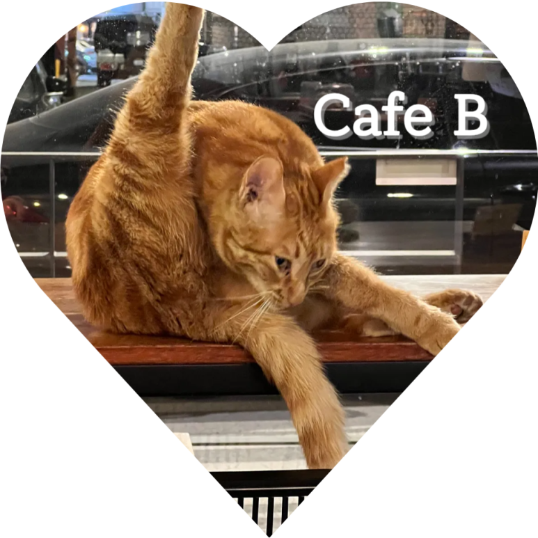 카페비(Cafe B) 이미지