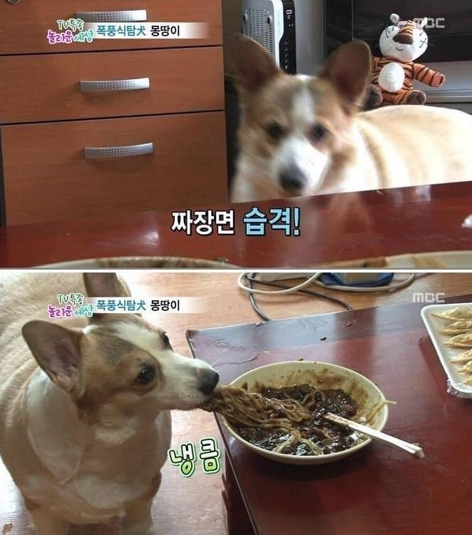 짜우탕 이미지