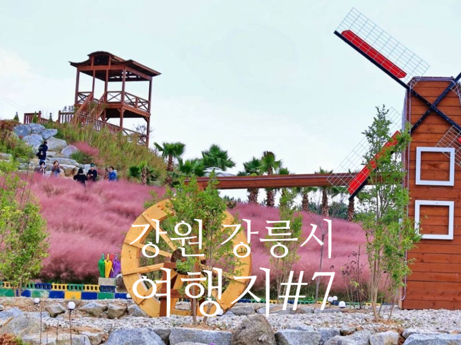키즈몬강릉점 이미지