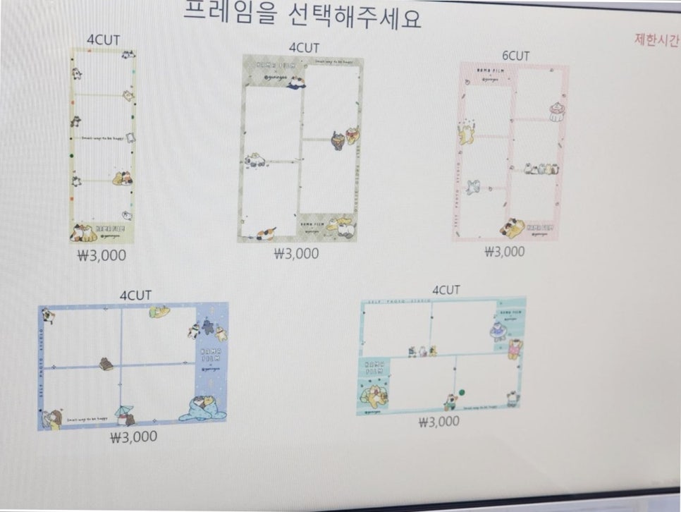 지금노래연습장 이미지