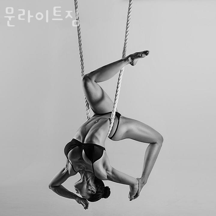 문라이트짐 이미지
