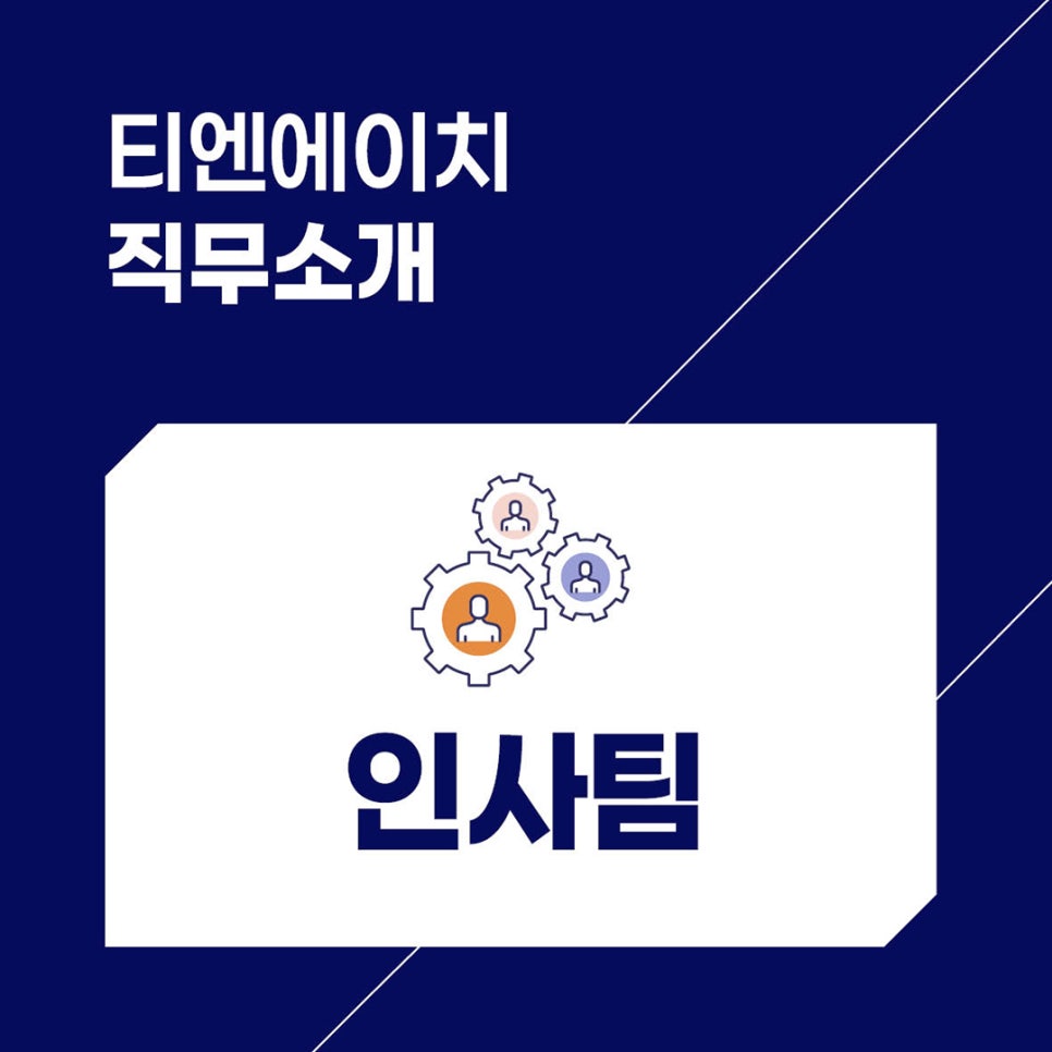 티엔에이치 이미지