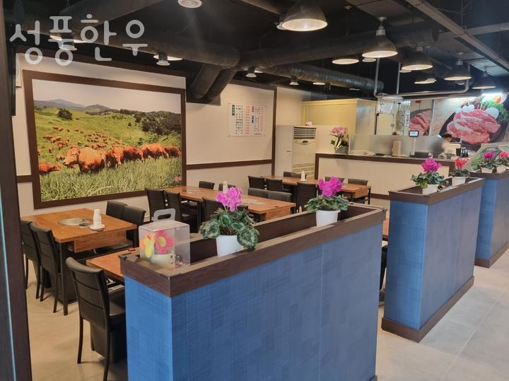 성풍한우 이미지