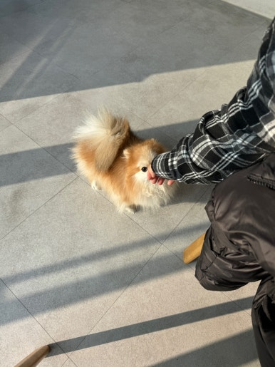 비니프 이미지