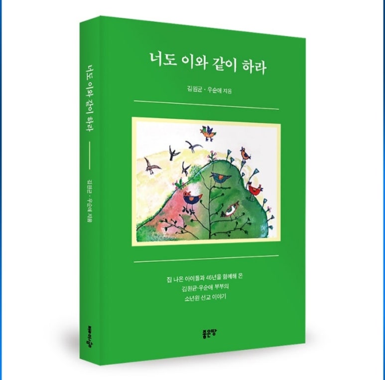 이와같이 이미지