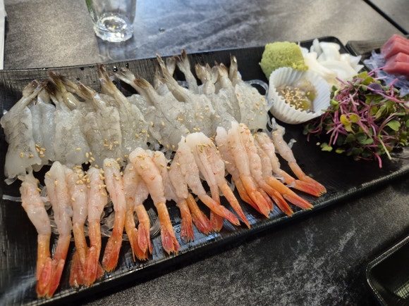 참치광 이미지
