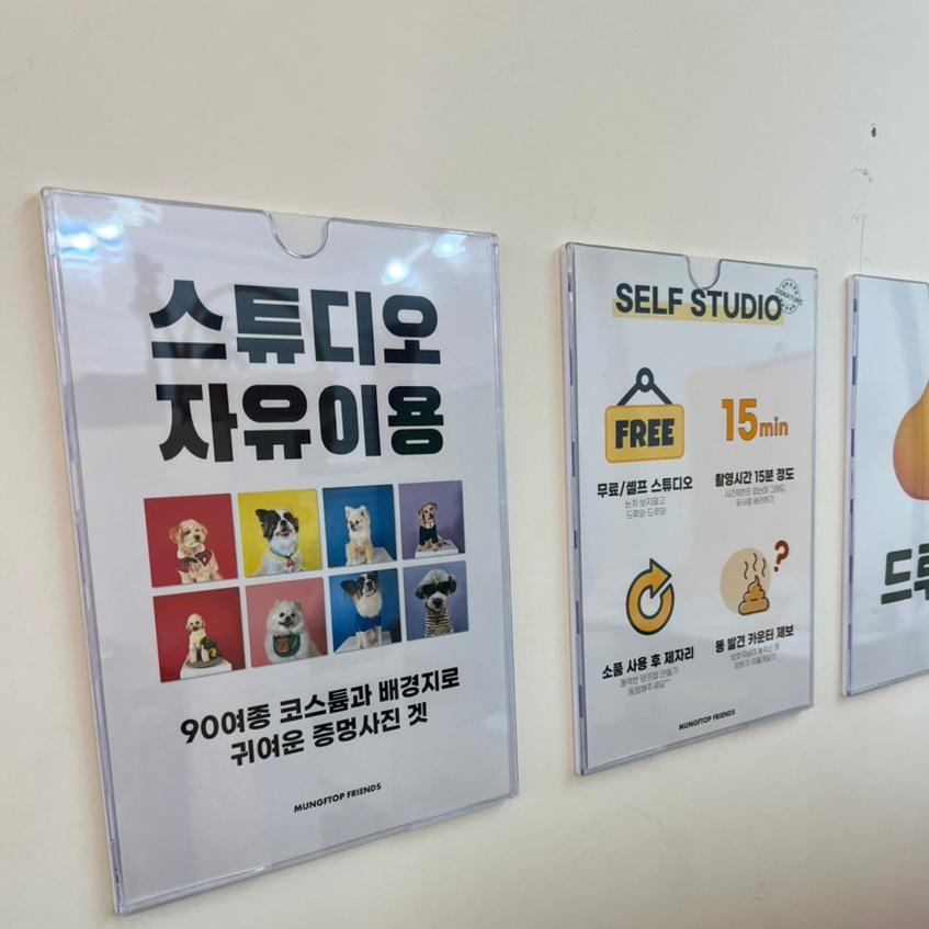 멍프탑 이미지