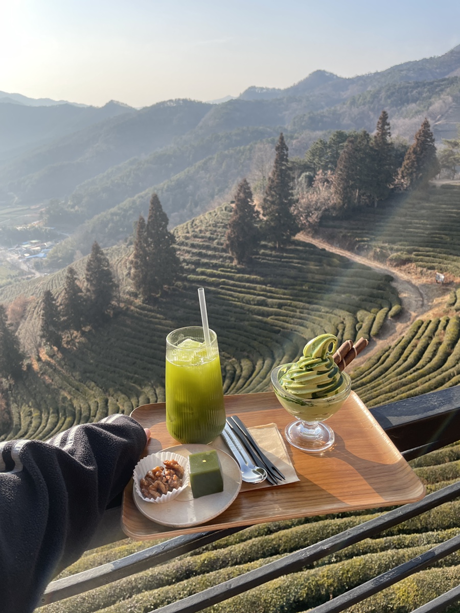 초록잎이펼치는세상티하우스보성차밭점 이미지