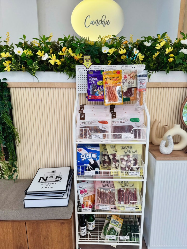 캔츄 이미지
