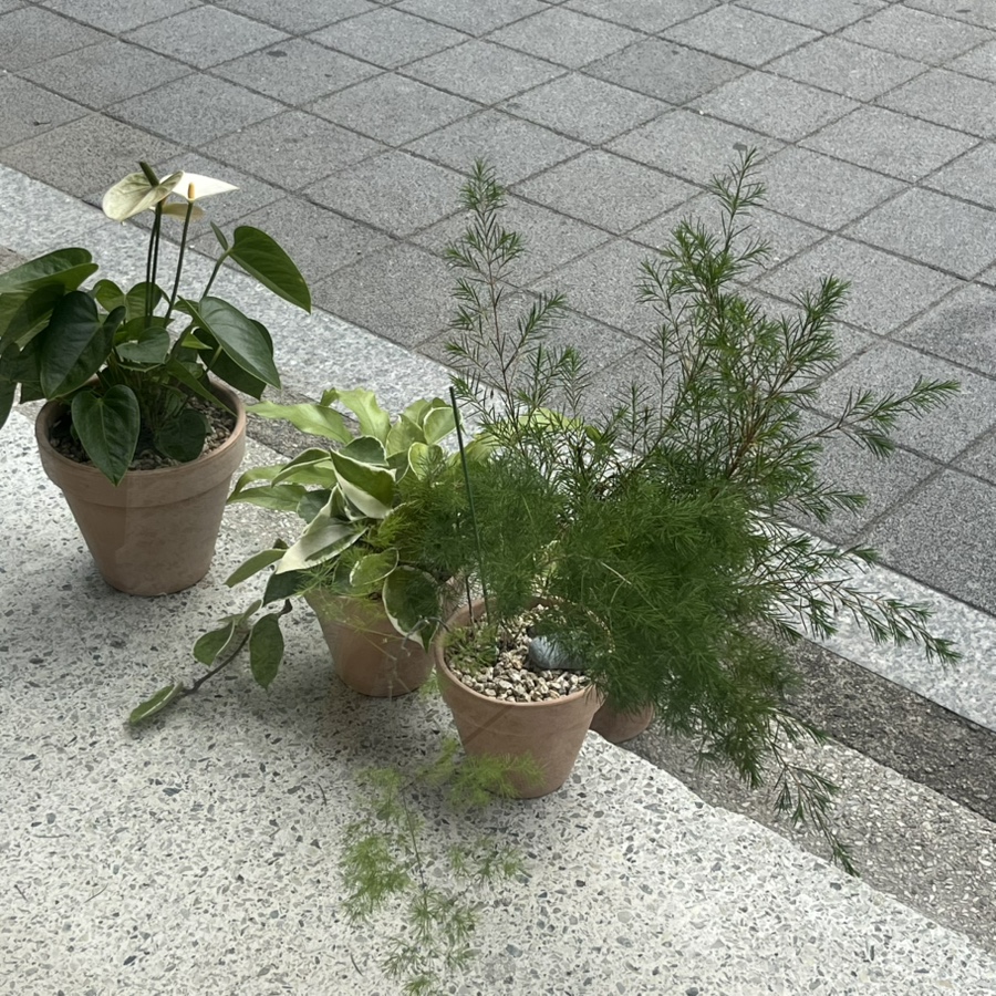 콜렉트마이페이보릿 이미지
