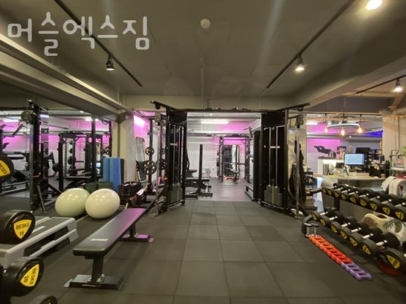 머슬엑스짐 이미지