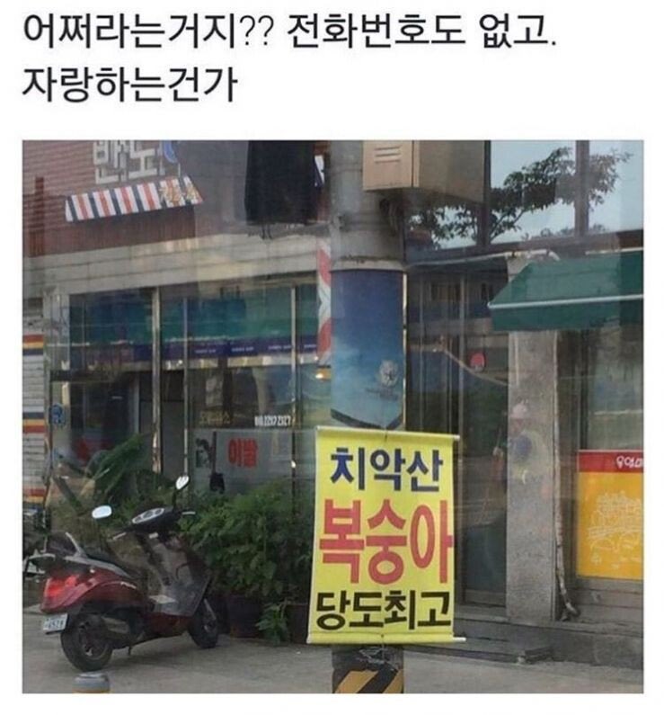 복숭아아저씨 이미지