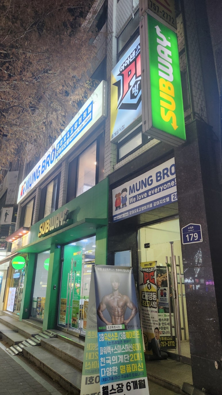 멍브로 이미지