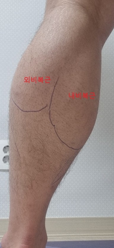 명품스트레칭 이미지