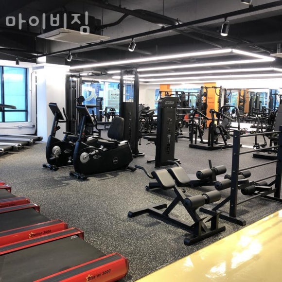 마이비짐 이미지