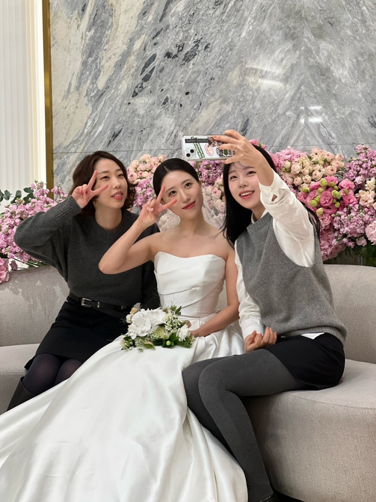비비스 이미지