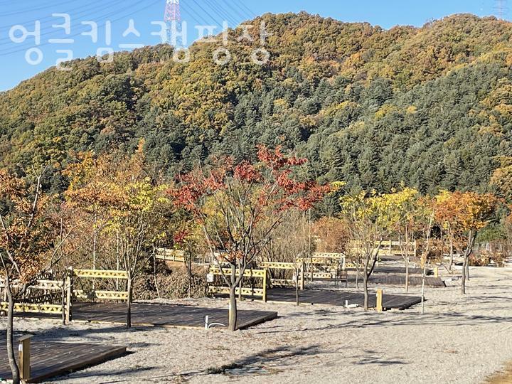 엉클캠핑장 이미지