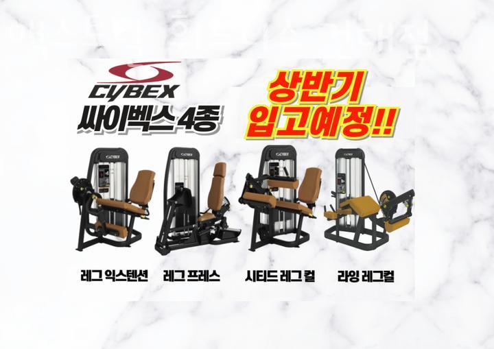 맥스휘트니스 이미지