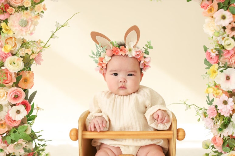 로이레스튜디오 이미지