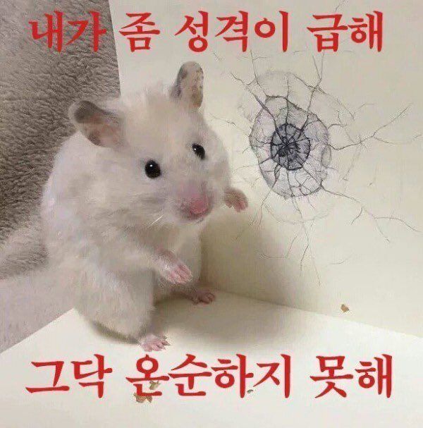 꿈의농장정육식당 이미지