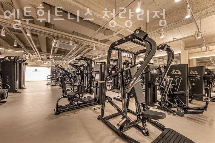 엘투 이미지
