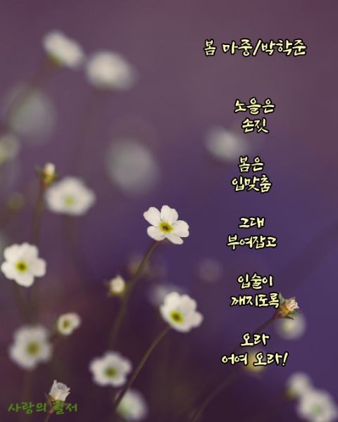 박학준 이미지