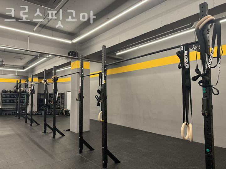 크로스핏고마 이미지