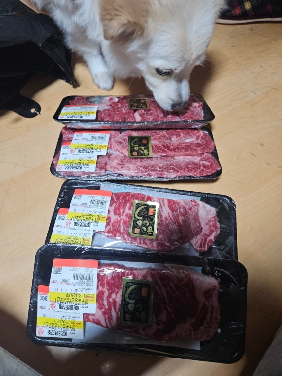 좋은날정육점 이미지